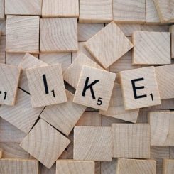 Sociology: Work, Identity, and Inequality, Criminal Behavior