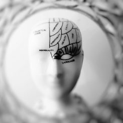 Psychology Group Licence